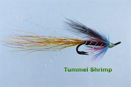 Tummel Shrimp